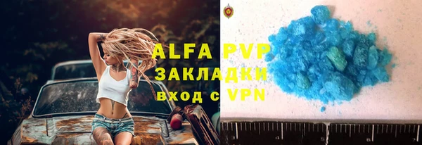 Альфа ПВП Инсар