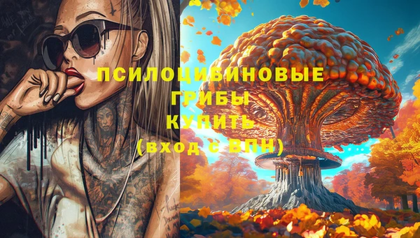 Альфа ПВП Инсар