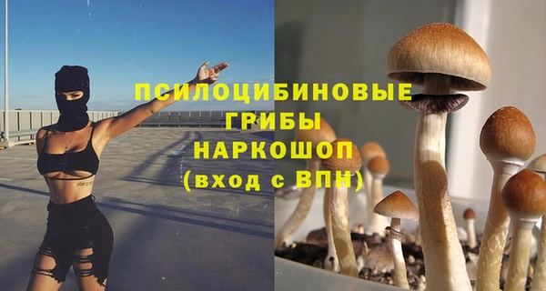 метамфетамин Инта