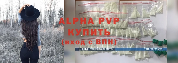 Альфа ПВП Инсар