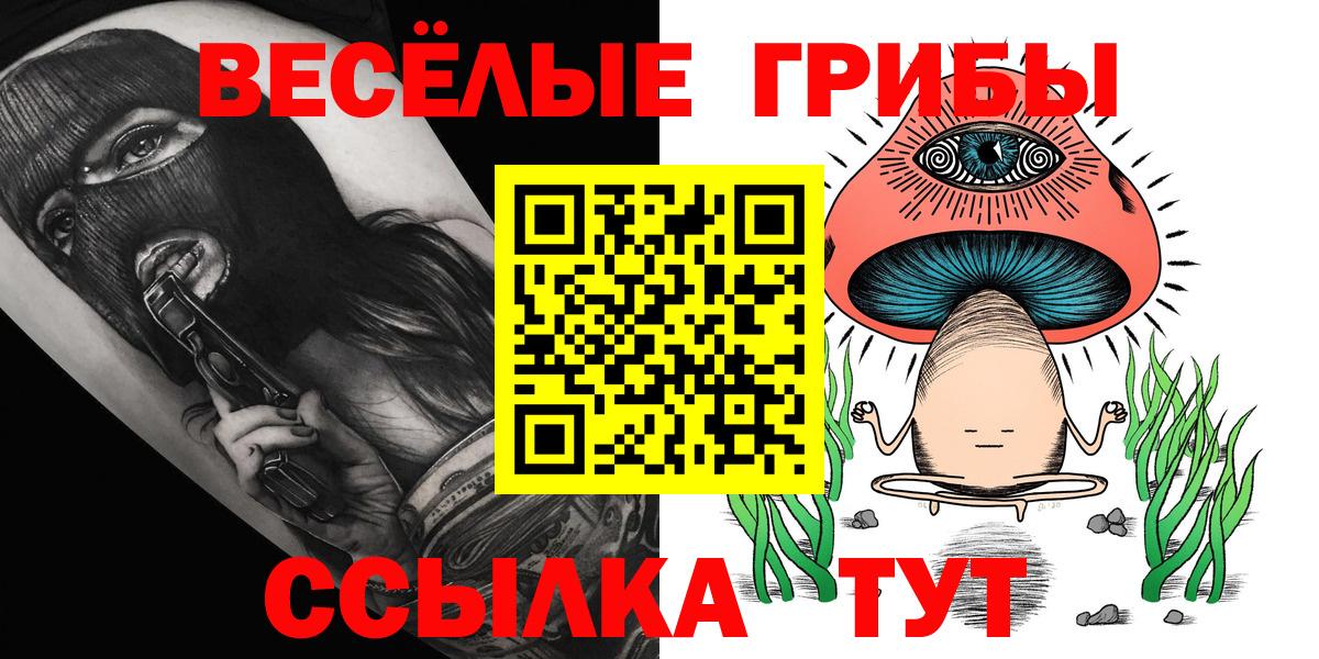 Псилоцибиновые грибы мухоморы  наркота  Хасавюрт  Вход с VPN 